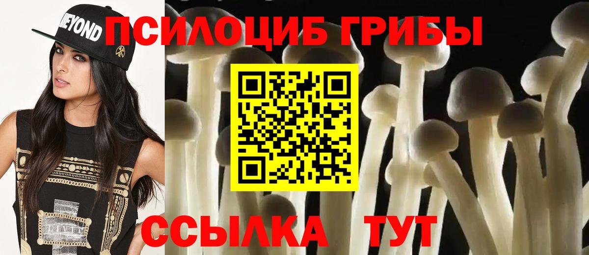 наркотики  Вход с VPN  Галлюциногенные грибы Psilocybine cubensis  Боровичи  Псилоцибиновые грибы MAGIC MUSHROOMS 